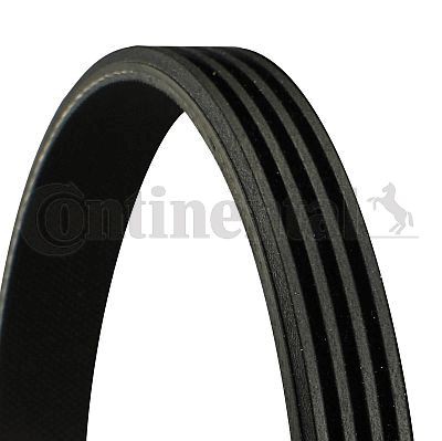 Poly V belt CONTINENTAL CTAM