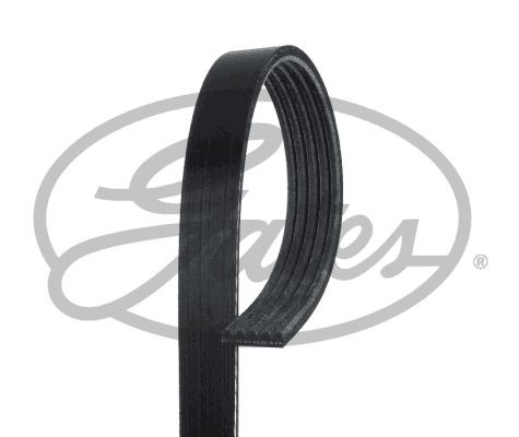 Poly V belt GATES