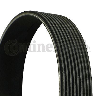 Poly V belt CONTINENTAL CTAM