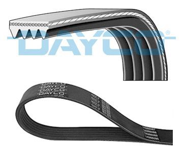 Poly V belt DAYCO