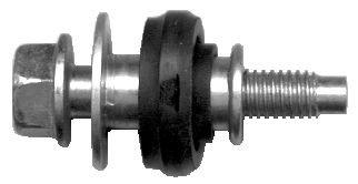 Screw, cylinder head cover