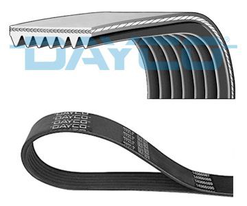 Poly V belt DAYCO