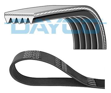 Poly V belt DAYCO