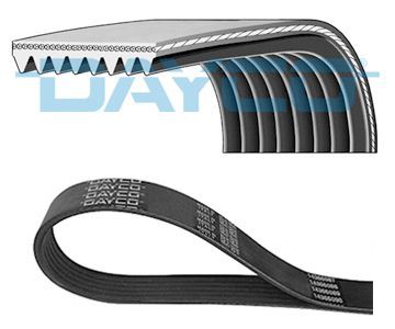 Poly V belt DAYCO