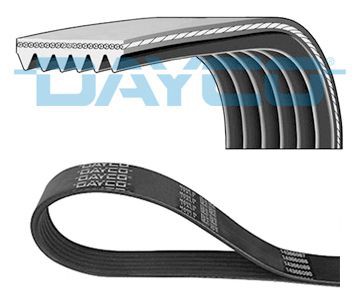 Poly V belt DAYCO