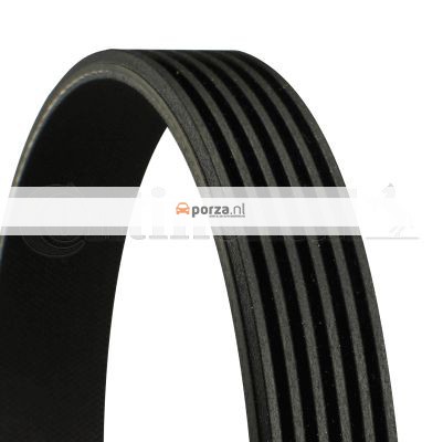 Poly V belt CONTINENTAL CTAM