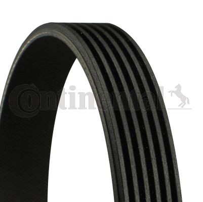 Poly V belt CONTINENTAL CTAM