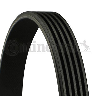 Poly V belt CONTINENTAL CTAM