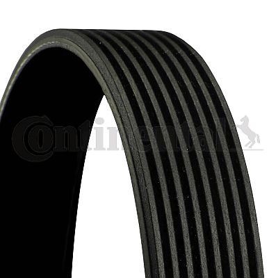 Poly V belt CONTINENTAL CTAM