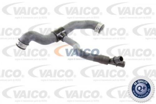 Radiator hose VAICO