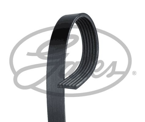 Poly V belt GATES